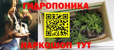 каннабис Кандалакша