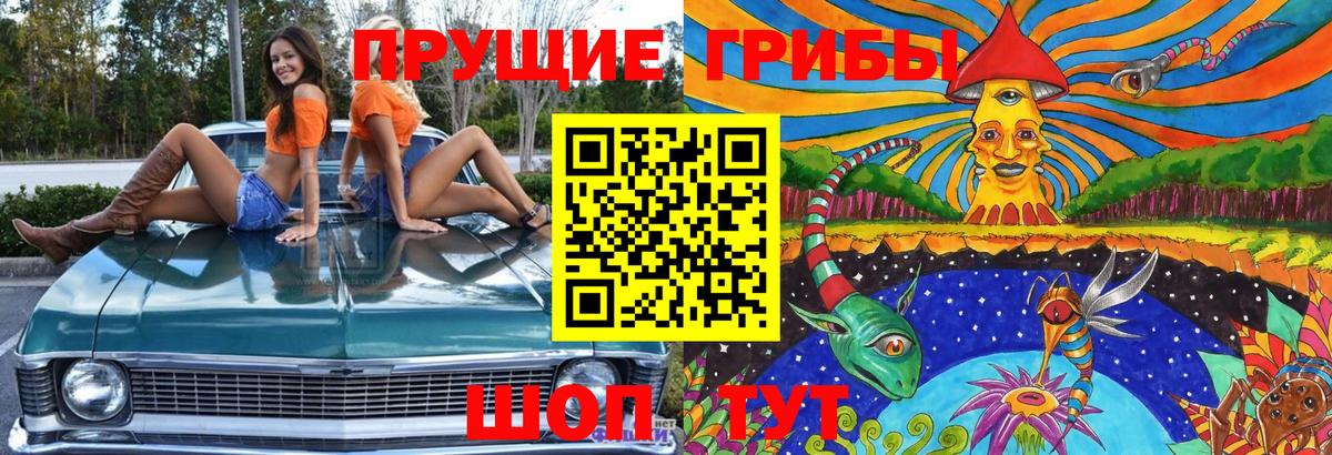 Псилоцибиновые грибы GOLDEN TEACHER Фурманов