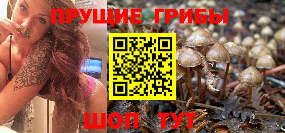 Галлюциногенные грибы мухоморы Фурманов